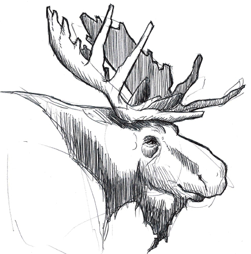 bjoerkhagen-schweden-elch-illustration2